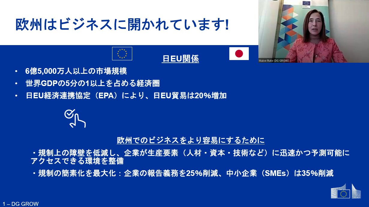 欧州投資ハブ
