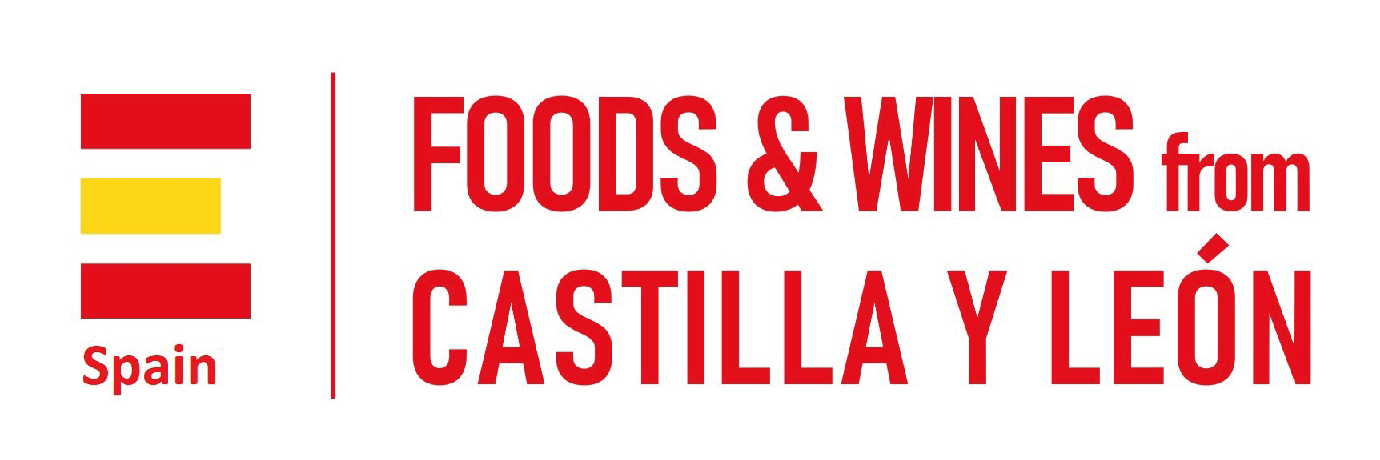 Castilla y Leon logo