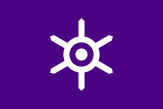 tokyo flag