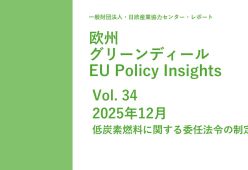 Policy Insight